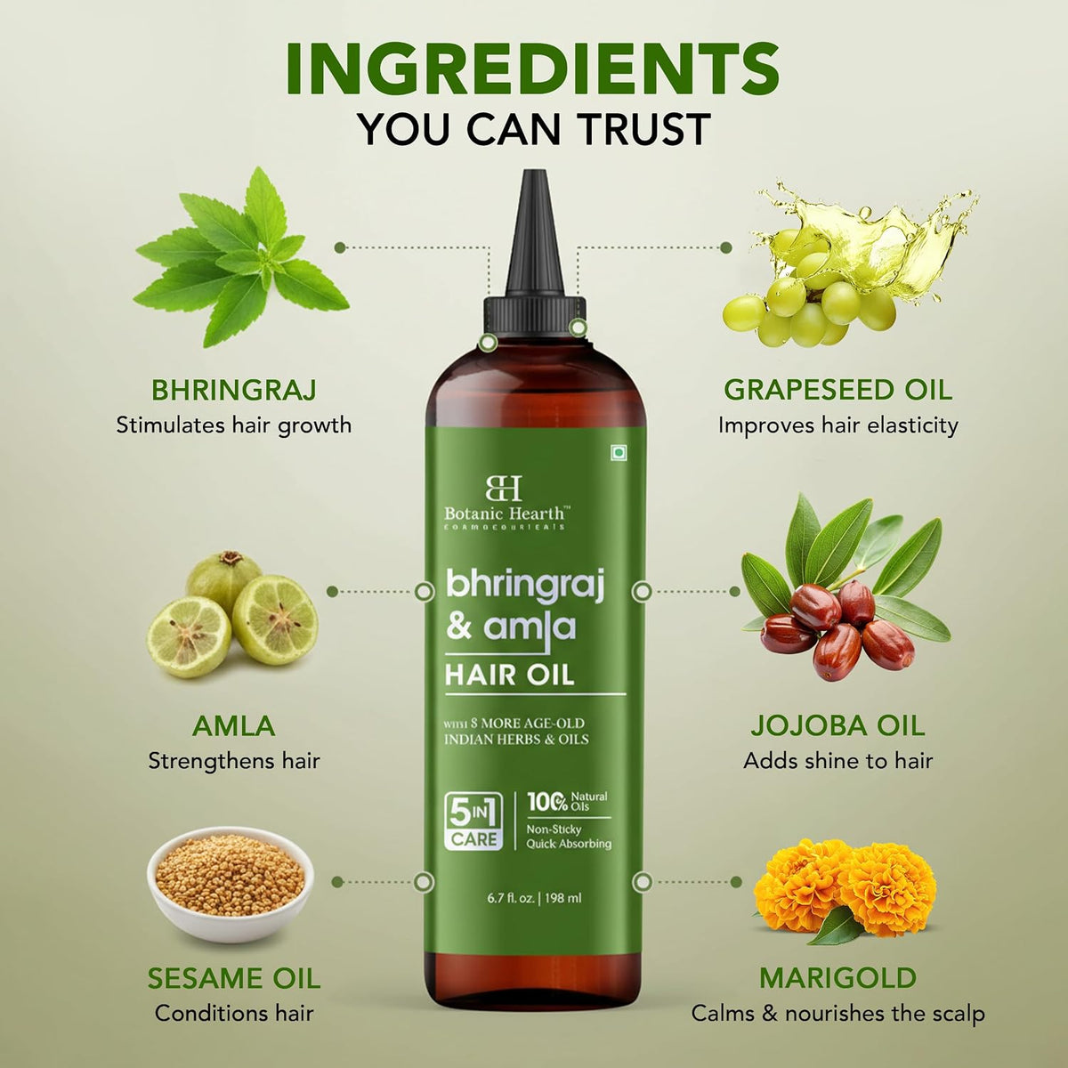Botanic Hearth Bhringraj & Amla Hair Oil - 6.7 fl oz | Nourishing Scalp & Hair Oil for Dry, Frizzy Hair | Supports Fuller-Looking Hair & Shine | Lightweight Botanical Formula